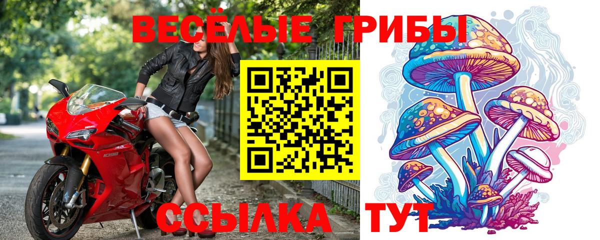 Кубинка  Псилоцибиновые грибы Psilocybine cubensis  Вход с VPN 