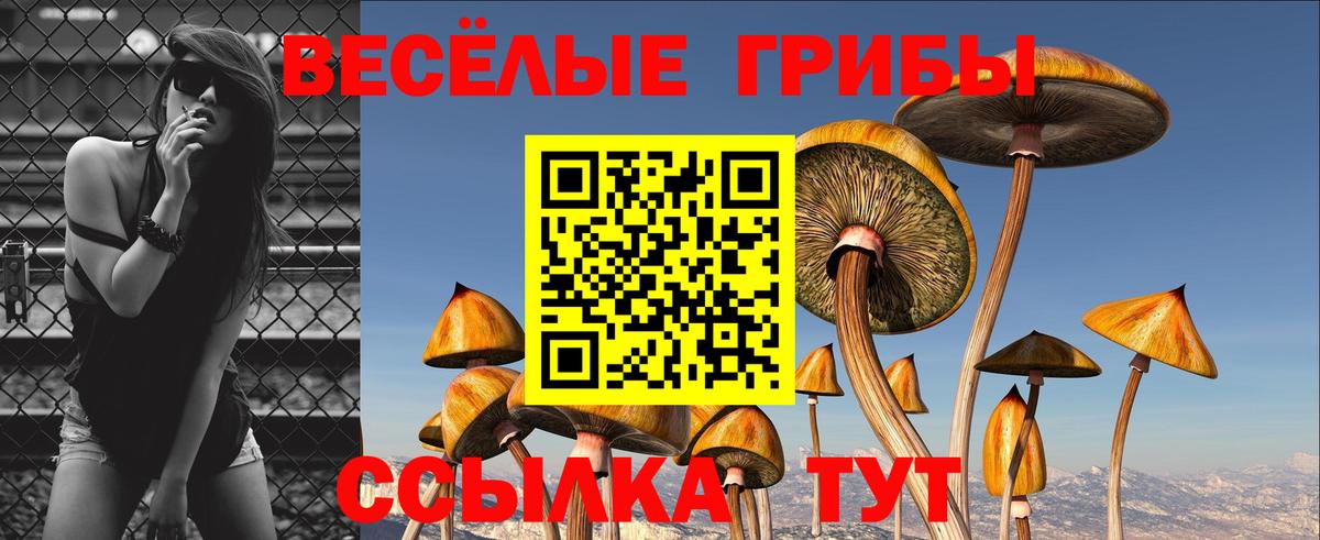 Лсд 25 Кубинка